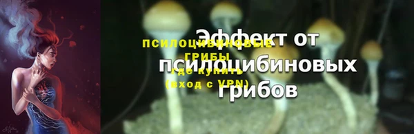 гашик Алзамай