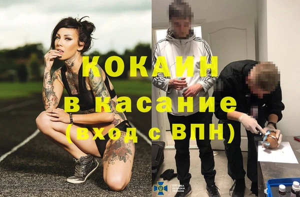 сатива Абдулино