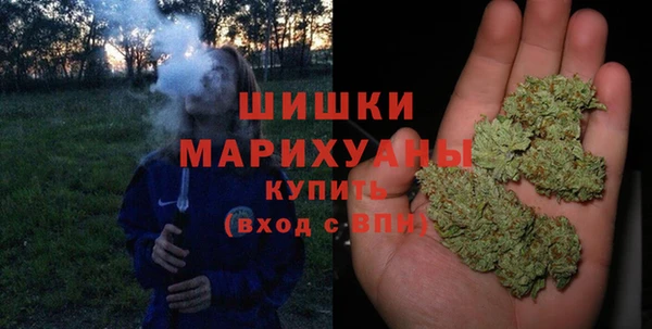 сатива Абдулино