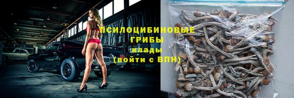 стаф Липки
