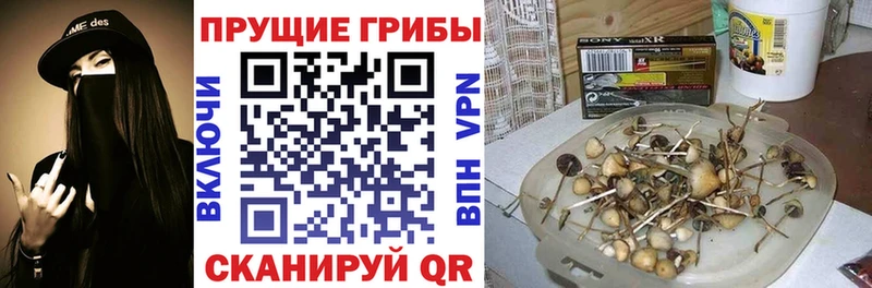 Псилоцибиновые грибы прущие грибы  Никольское 