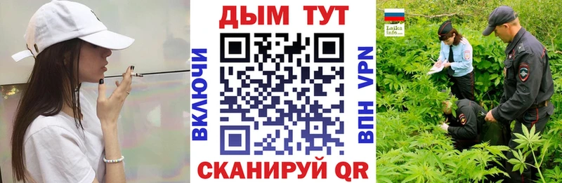 где купить наркоту Никольское Марихуана план